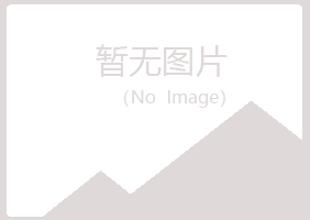 山阳县匆匆工程有限公司